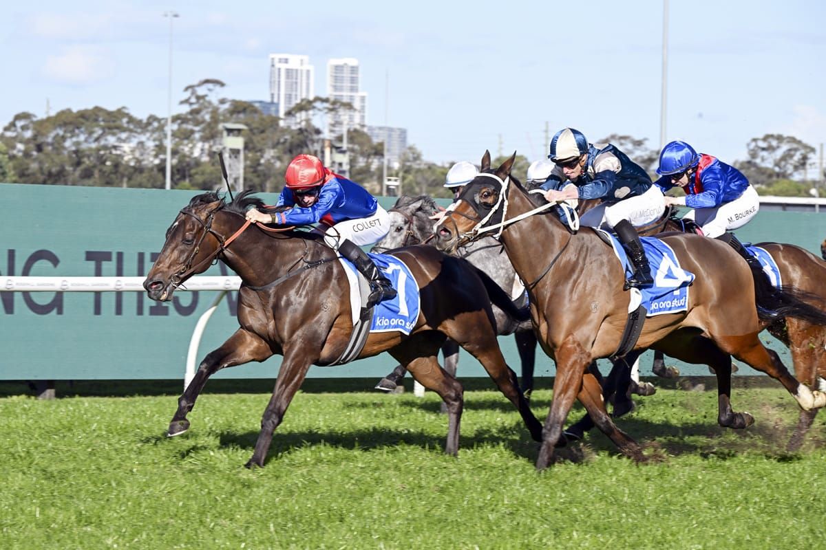 War Eternal on top of his game at Rosehill