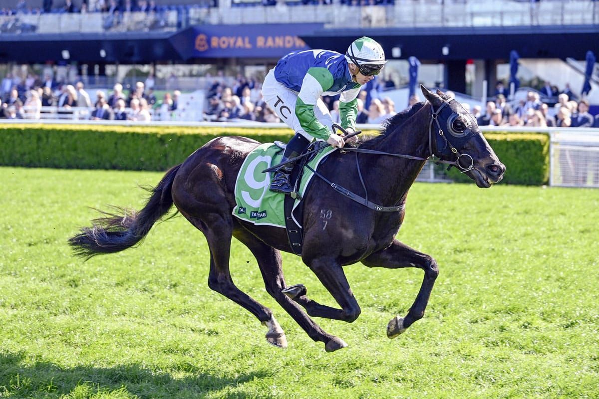 Wuddzz caps fine 24 hours for Dwyer