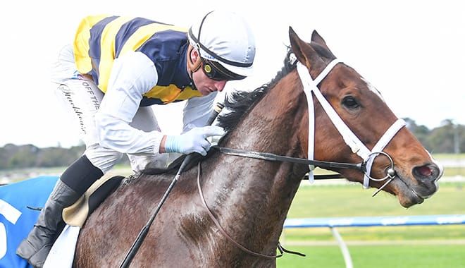 OTI’s Kiwi stayer one to follow?