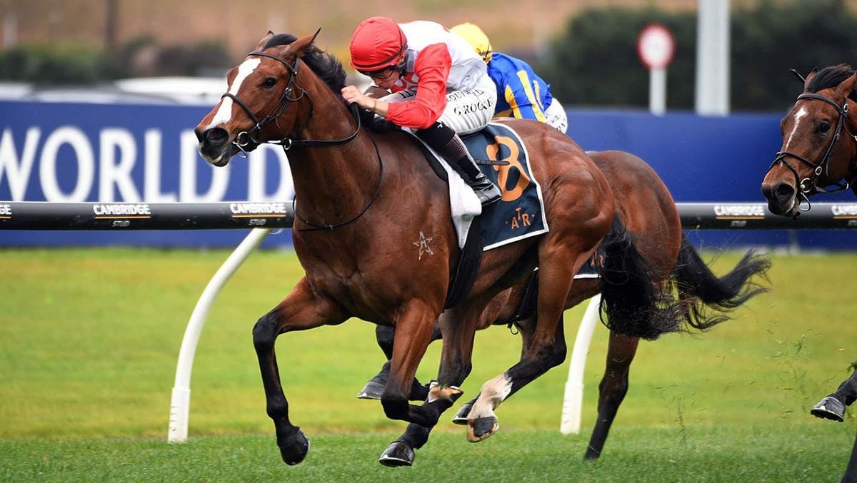 Affirmative Action springs massive upset at Ellerslie