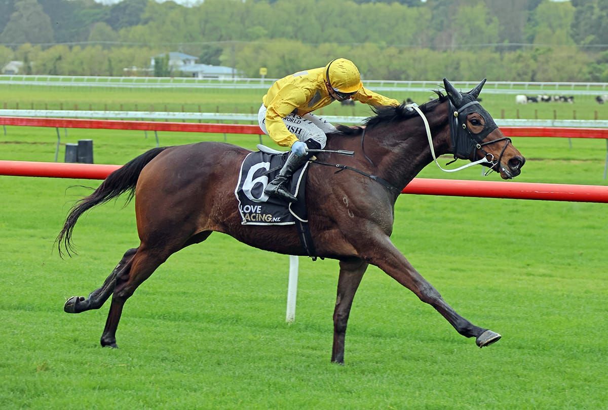 Danjuro puts Didham partnership on the board