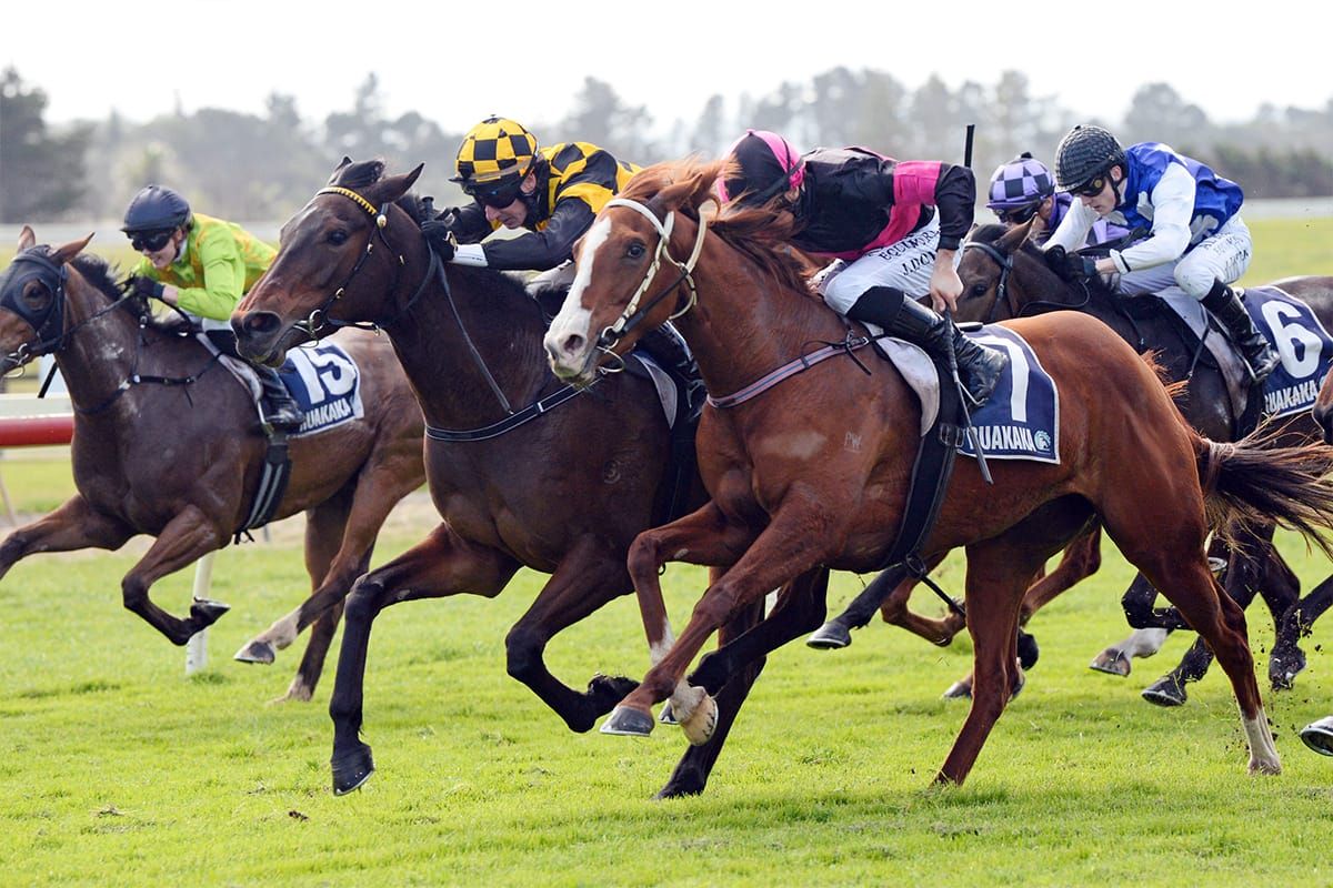 Daring Dame breaks through for elusive win