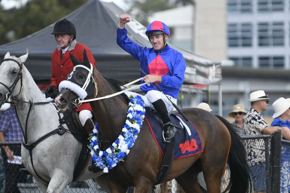 El Vencedor Crowned 2024-25 Sport Nation Horse of the Year