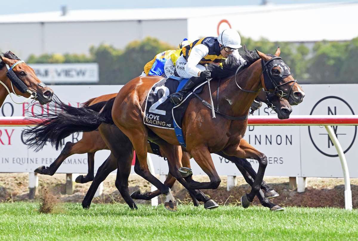 Mark Twain commences Melbourne spring campaign