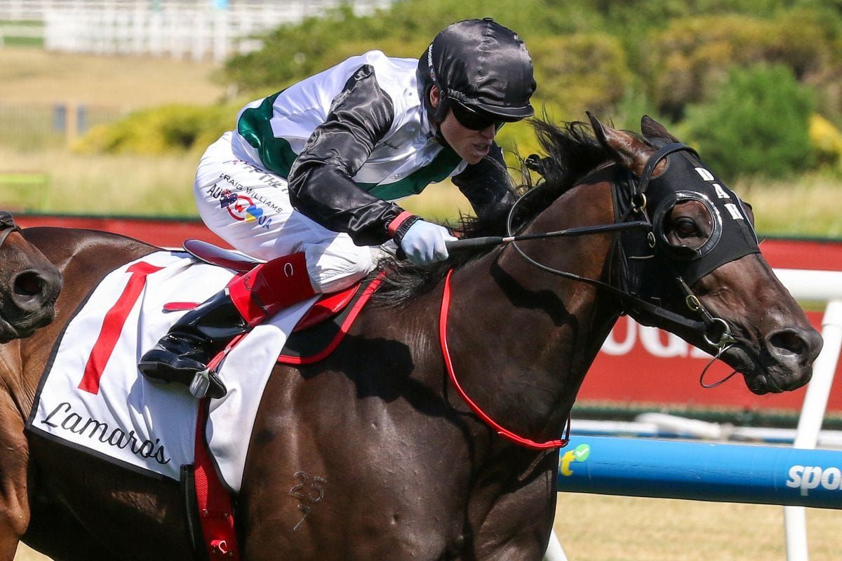 Brightside options ahead of King Charles