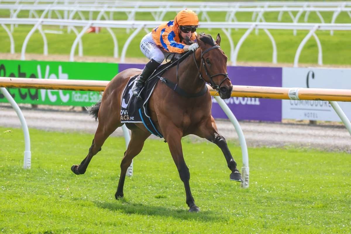 Hayes’ syndicate vision coming to fruition