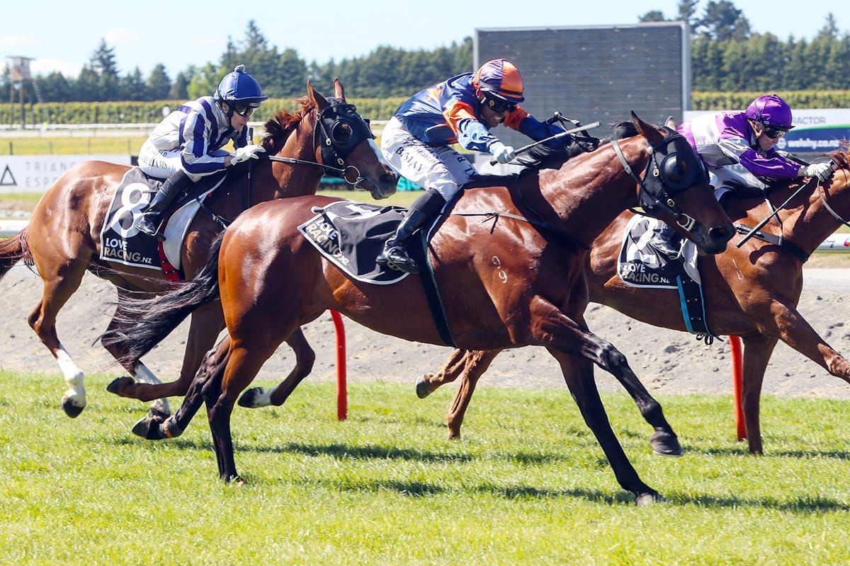 Northern Group One on the line for Richard Stomper