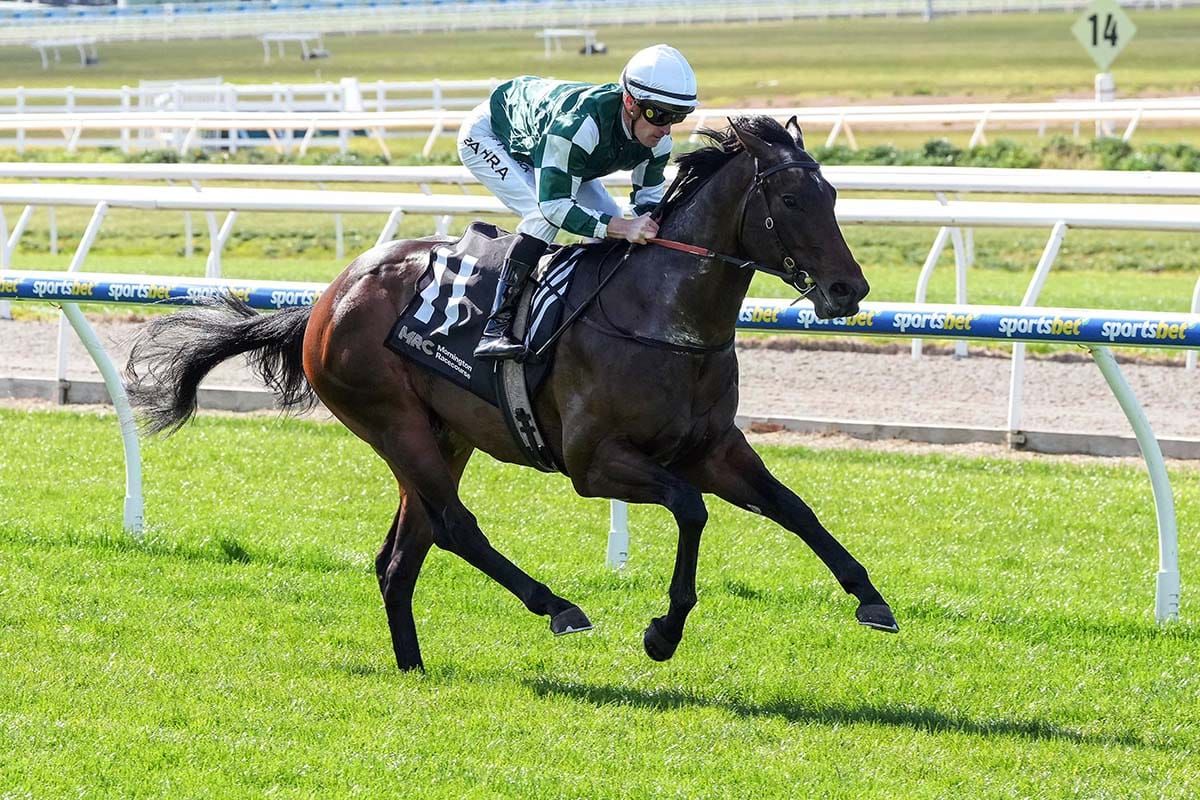 Gelded Street Artist shows true colours