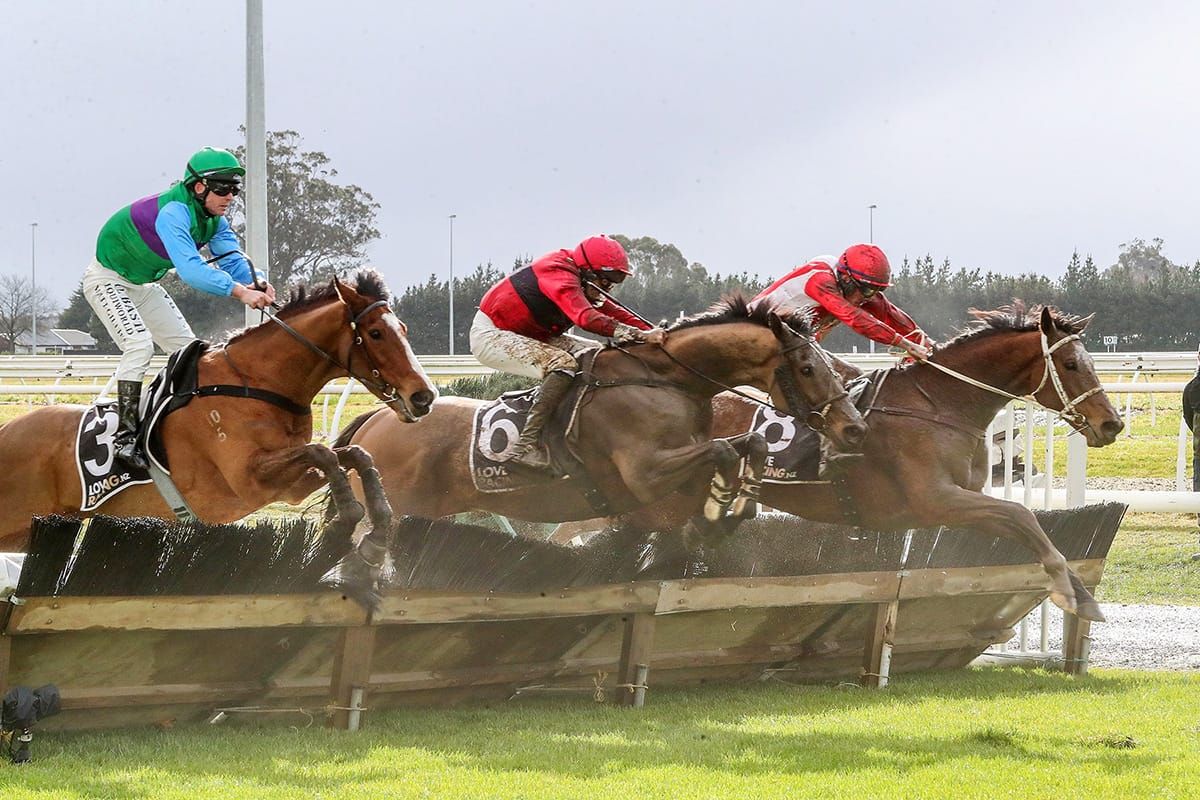 Hastings trainers field strong trio for Great New Zealand Hurdle