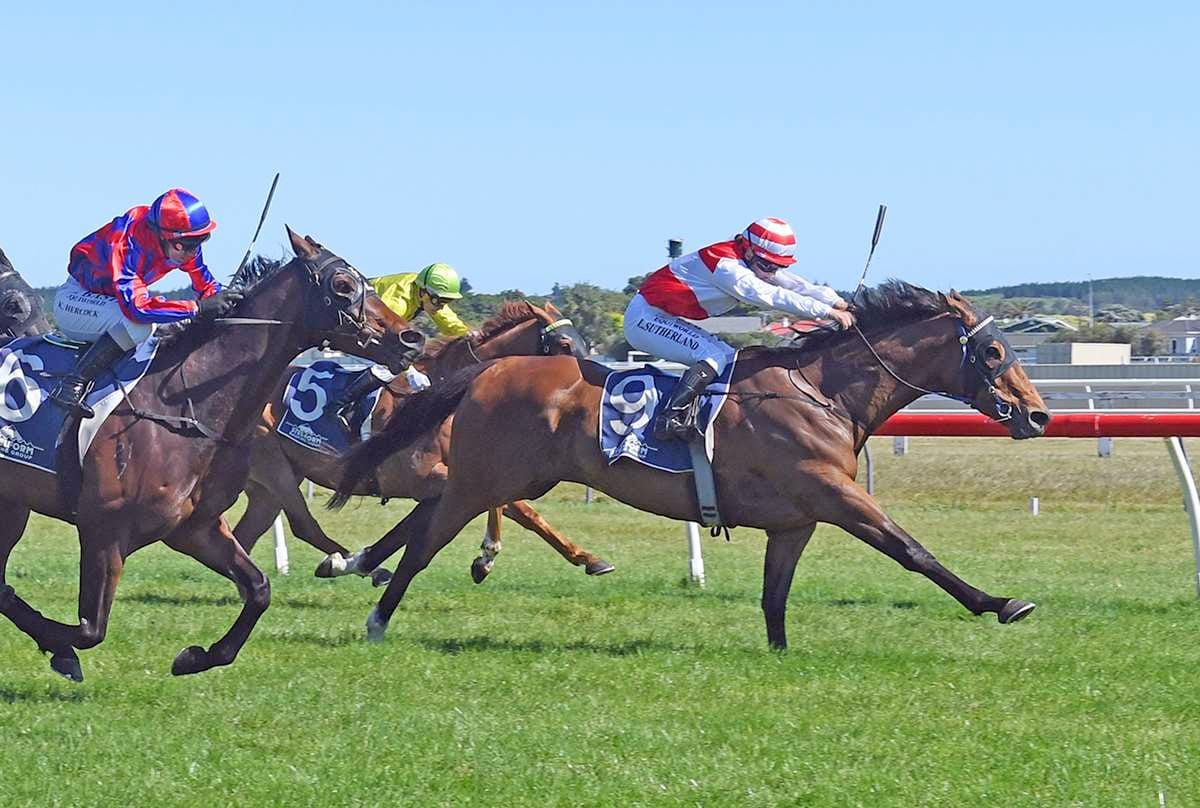 Versatile galloper ready to roll in feature mile