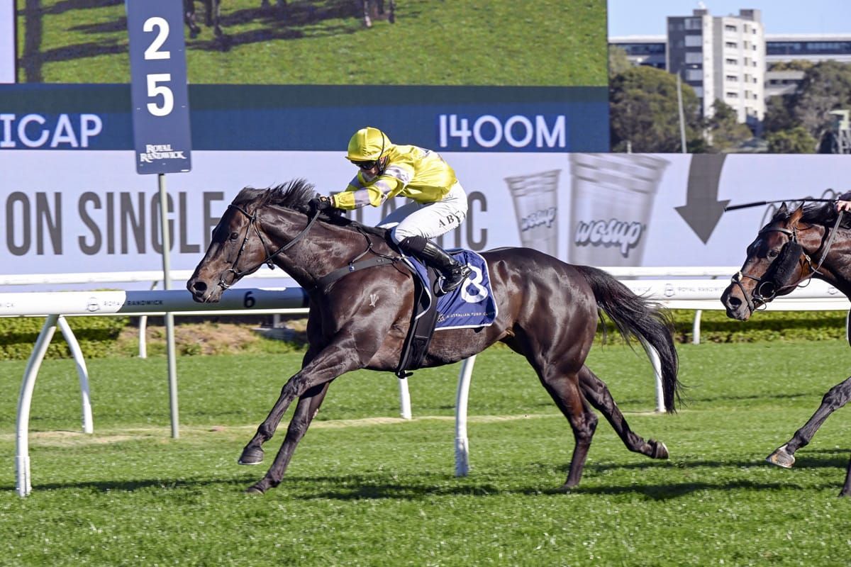 Favourite yearling posts career highlight