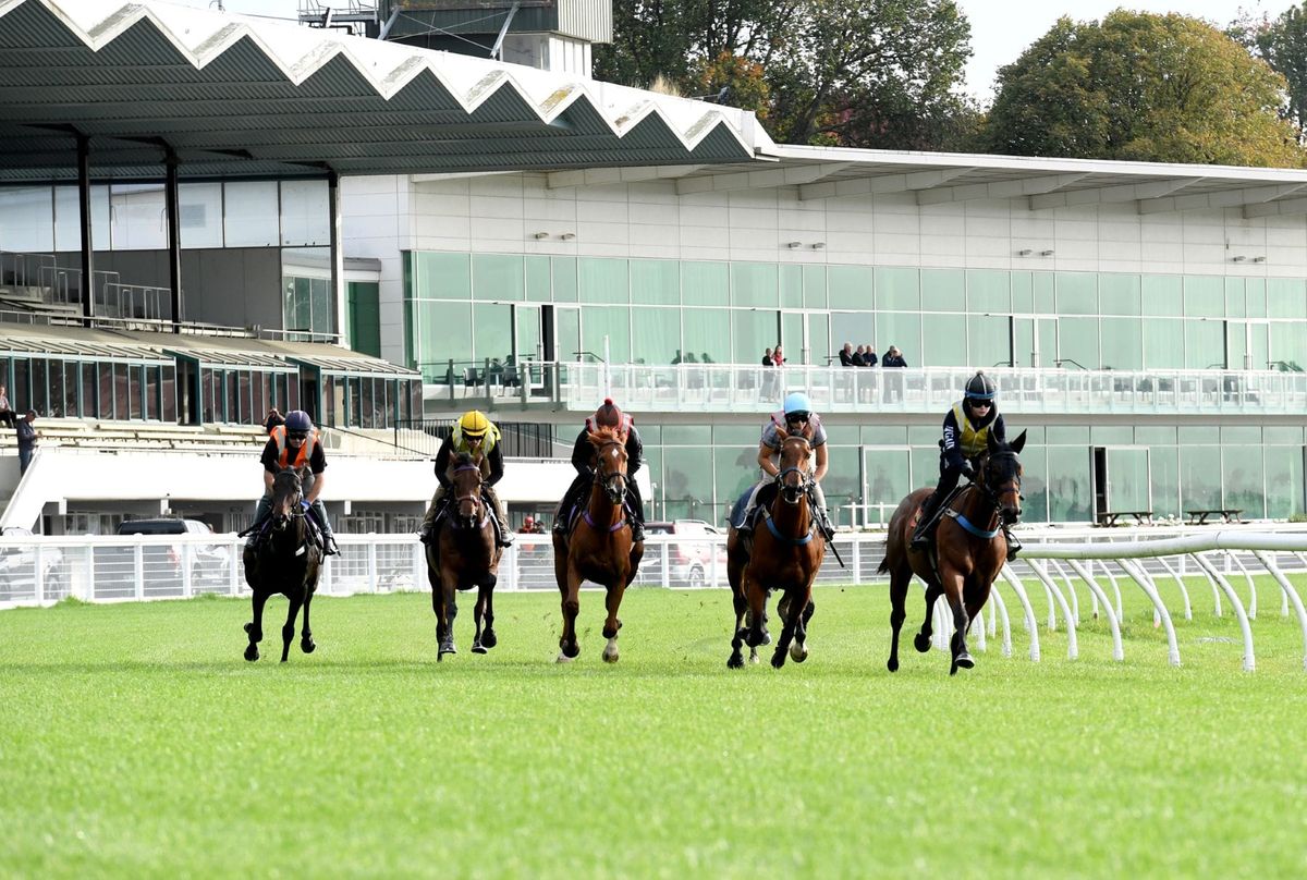 Racing at RACE Awapuni Paused