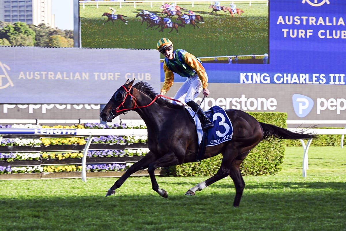 Champions Mile for Ceolwulf