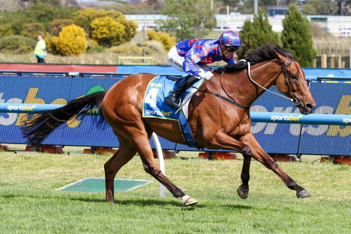 Globe in Cox Plate doubt