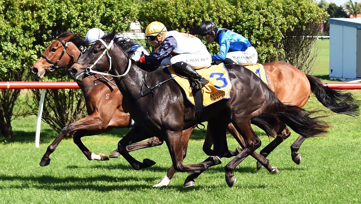 Kygo Star shines late in competitive 3YO contest