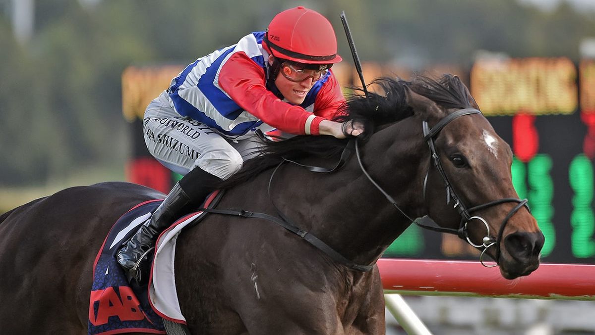 Wallbank’s horse of a lifetime up for Sweynesse challenge