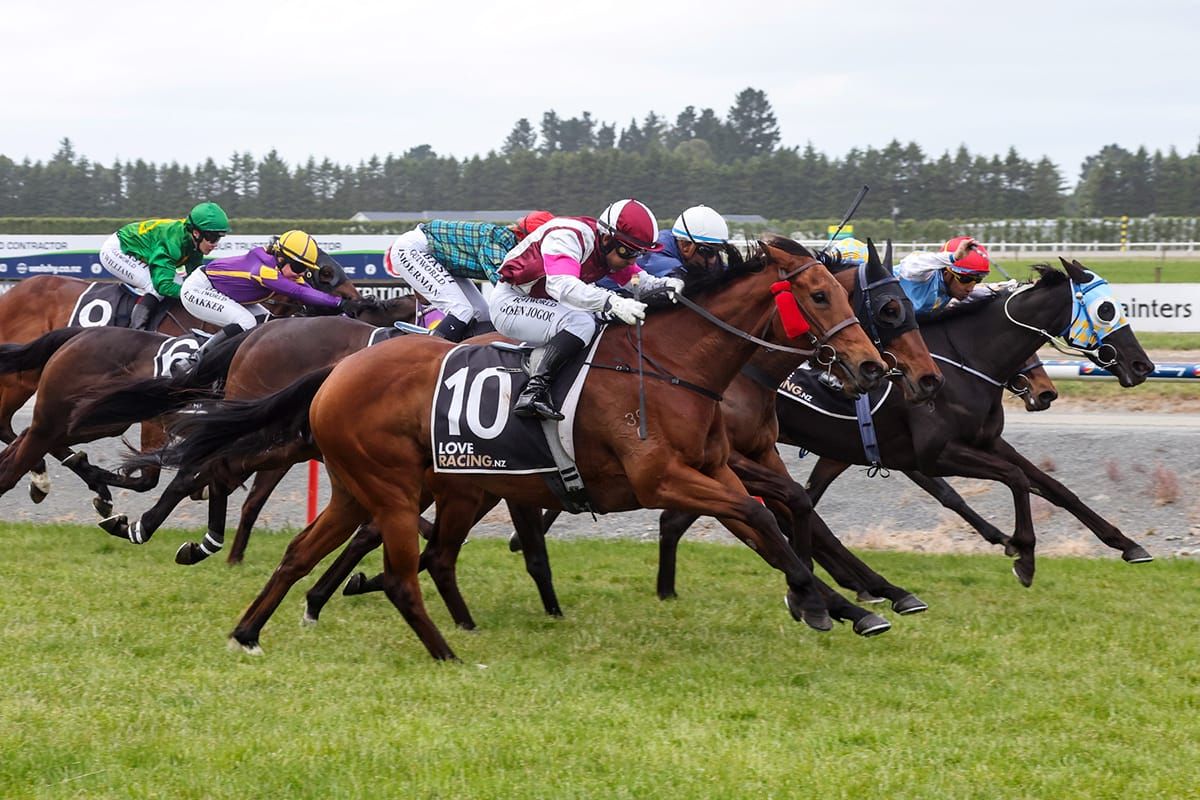 Queen Of Kings wins Ashburton thriller