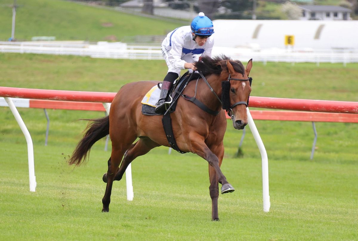 Tajana on target for Soliloquy after Taupo gallop