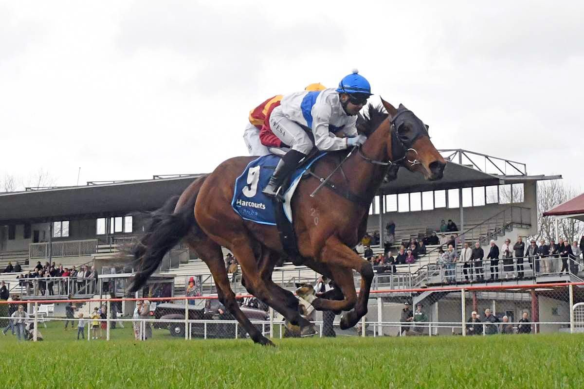 Cambridge partnership hunting Jericho Cup berth