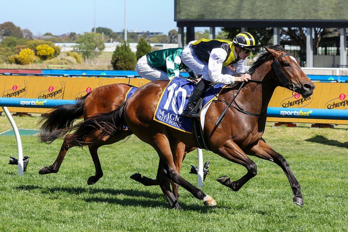 Torture inflicts pain on Debutant rivals