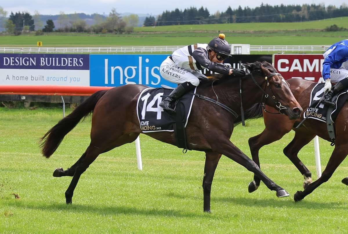 Guineas plans on notice for Forsman pair