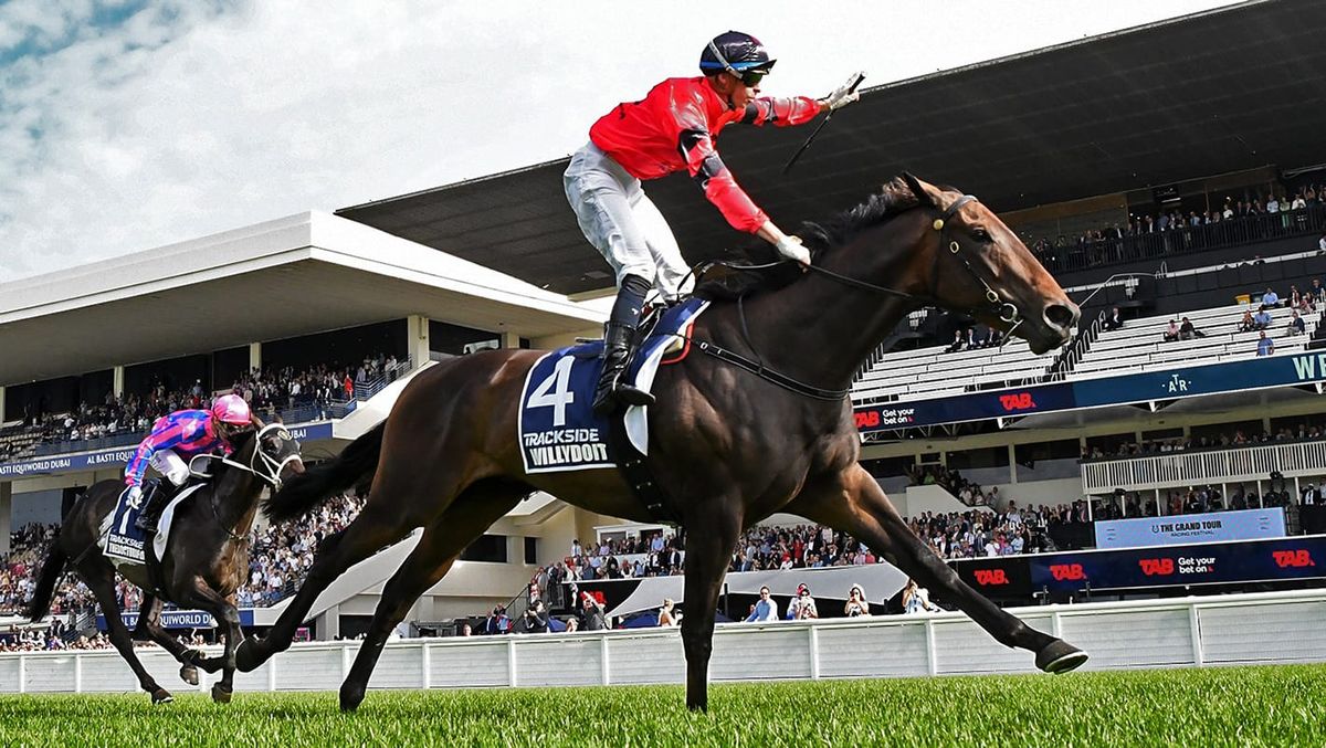 Clotworthys look forward to million-dollar opportunities
