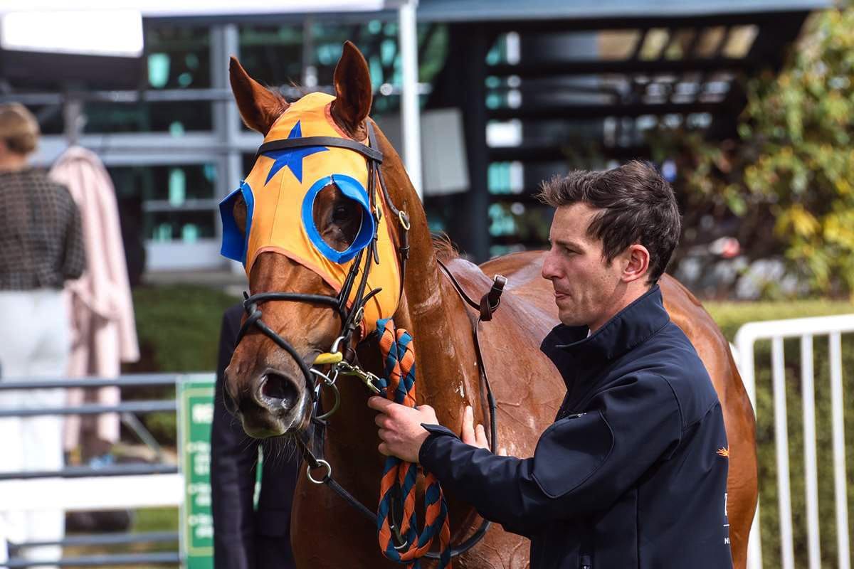 Te Akau’s Guineas contenders in holiday weekend spotlight