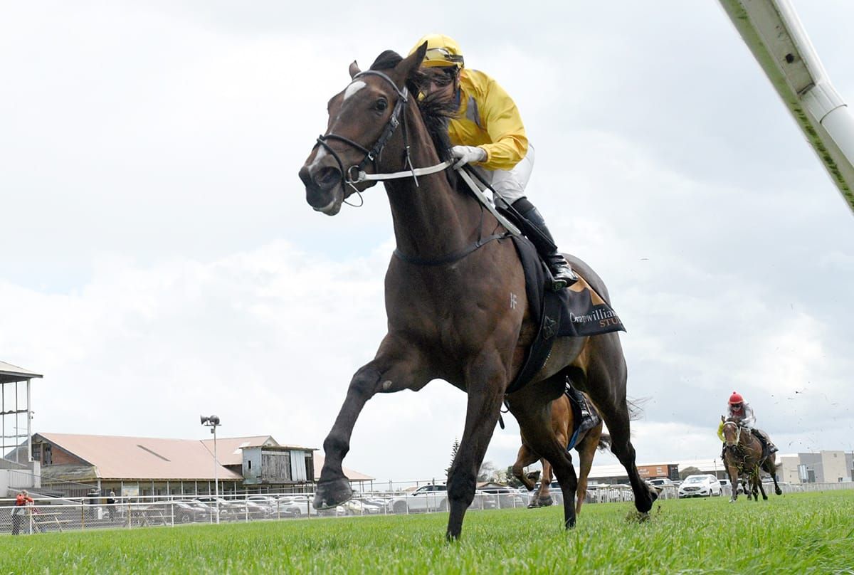 War Princess outclasses Hawera rivals
