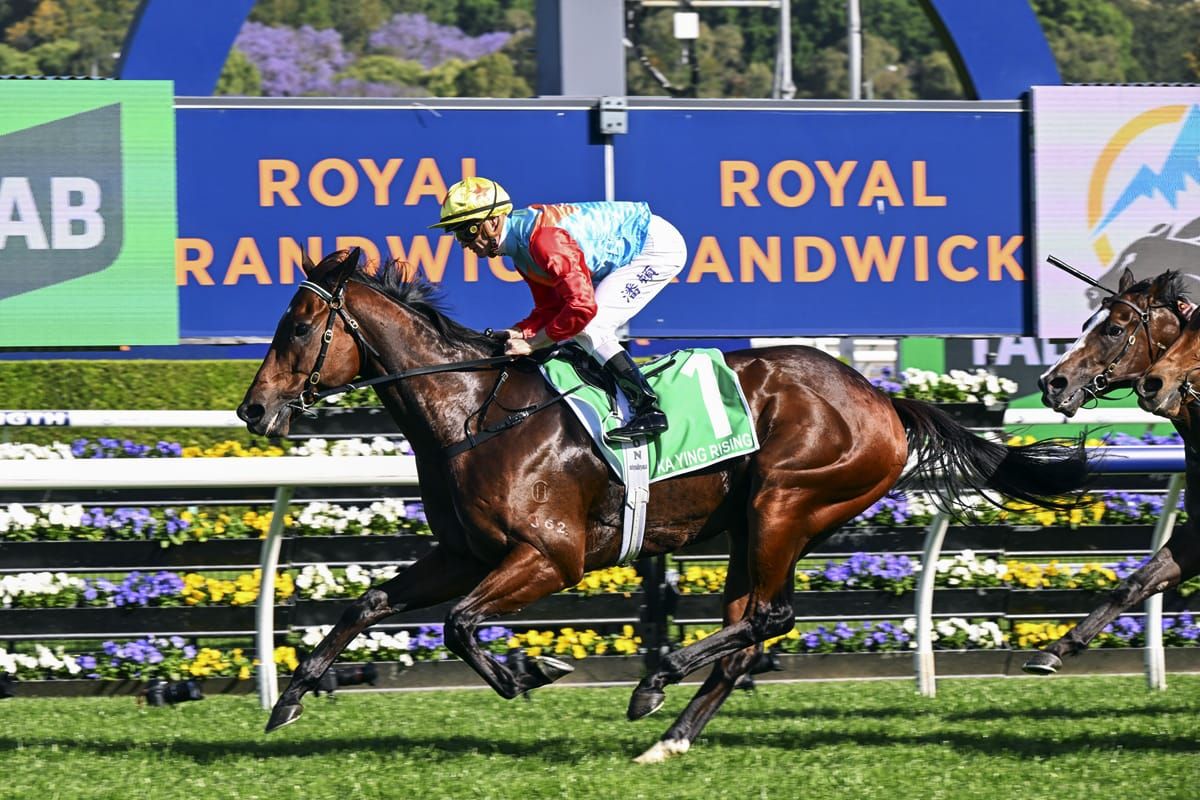 Ka Ying Rising conquers Everest