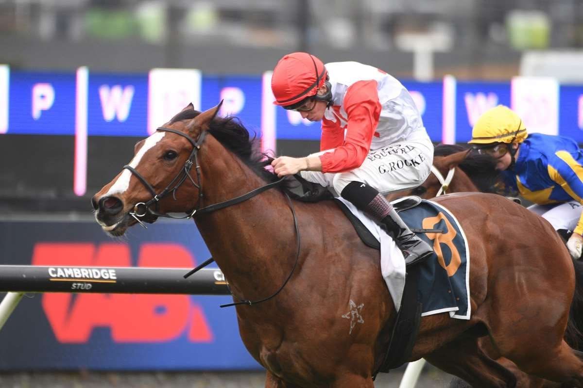 Gerard keeping her eye on Riccarton prize