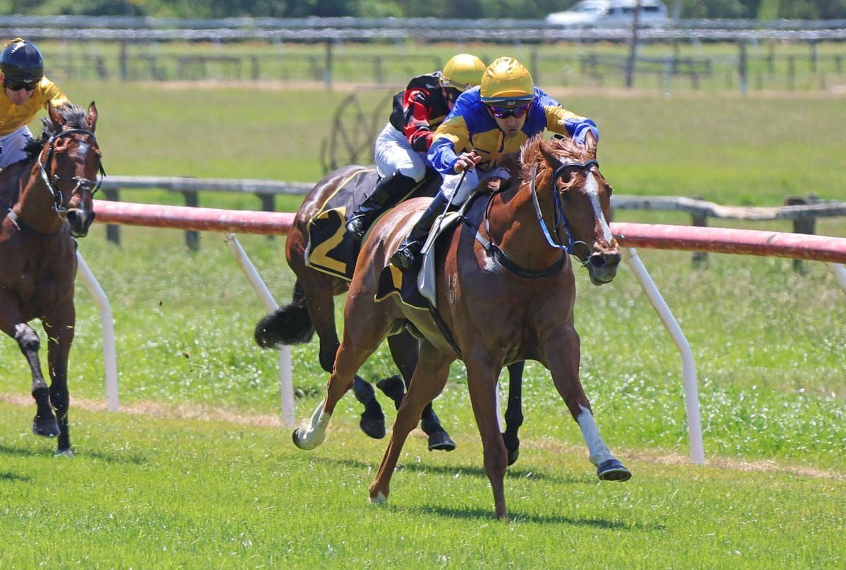 Driftin sprints to impressive upset at Tauherenikau