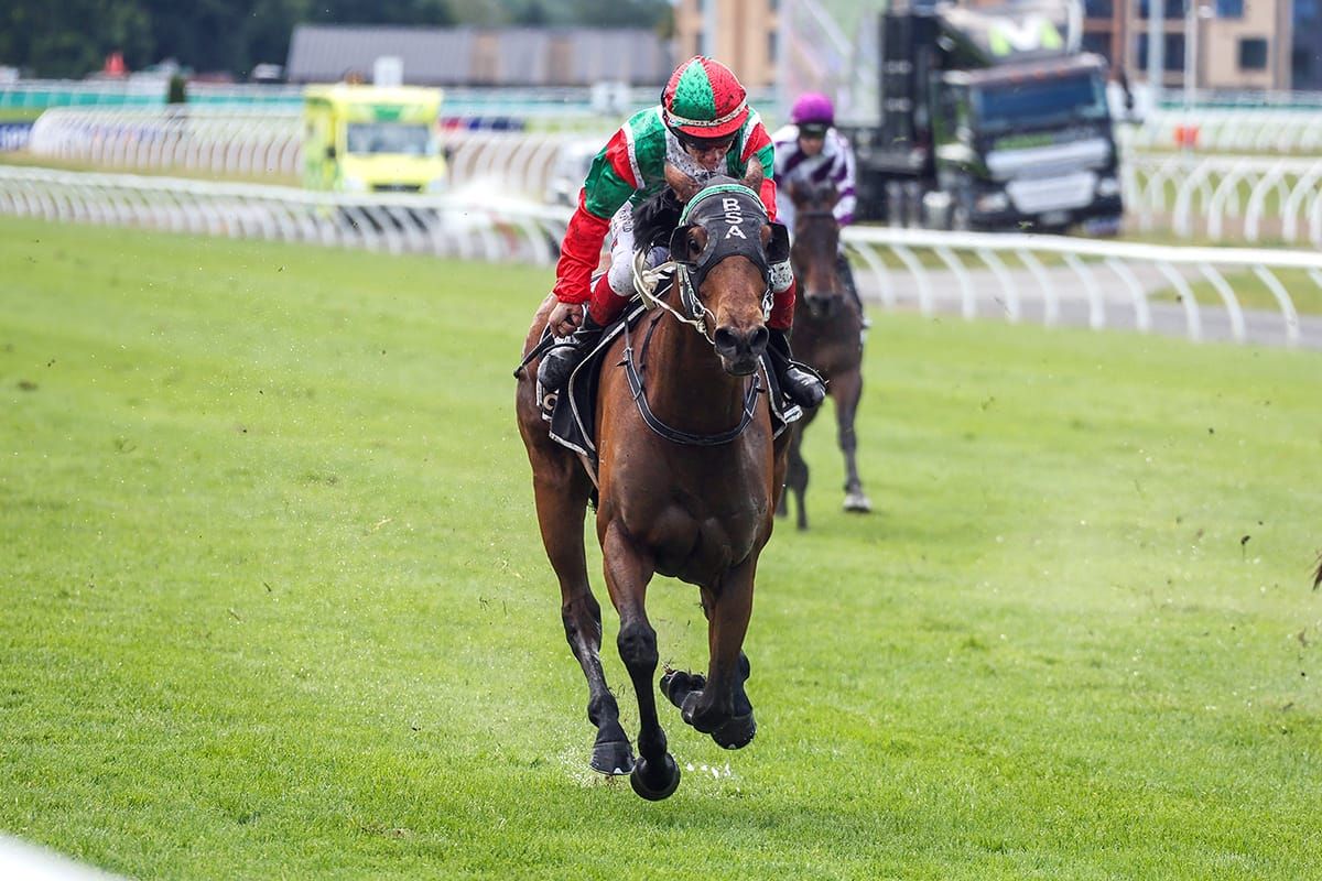Southern mare strikes gold at Riccarton