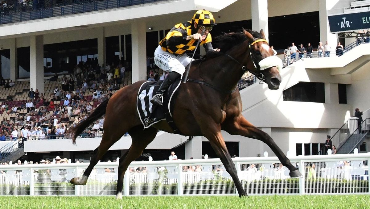 Jaarffi seeking to shed bridesmaid tag