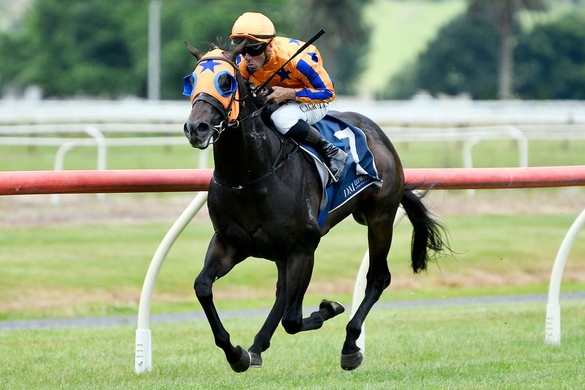 Regally-bred colt scores impressive maiden victory