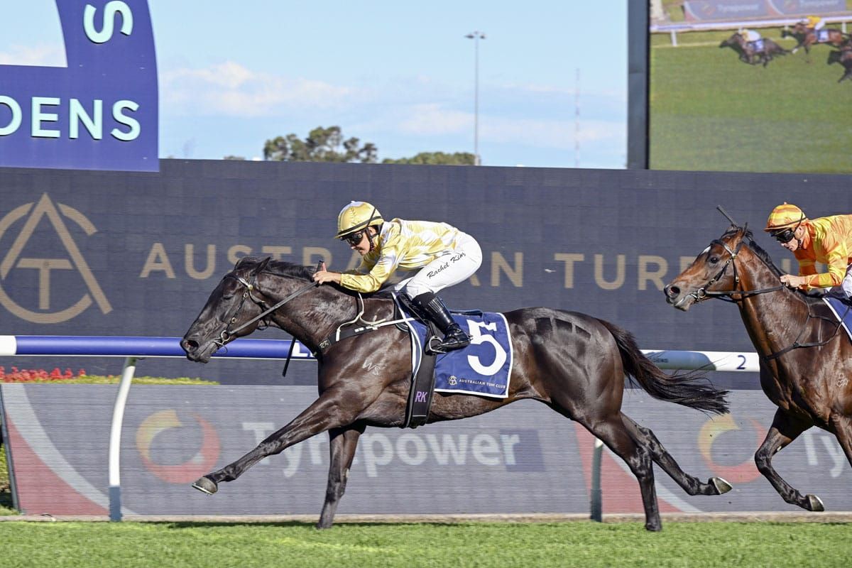 Major Beel back in ATC Cup