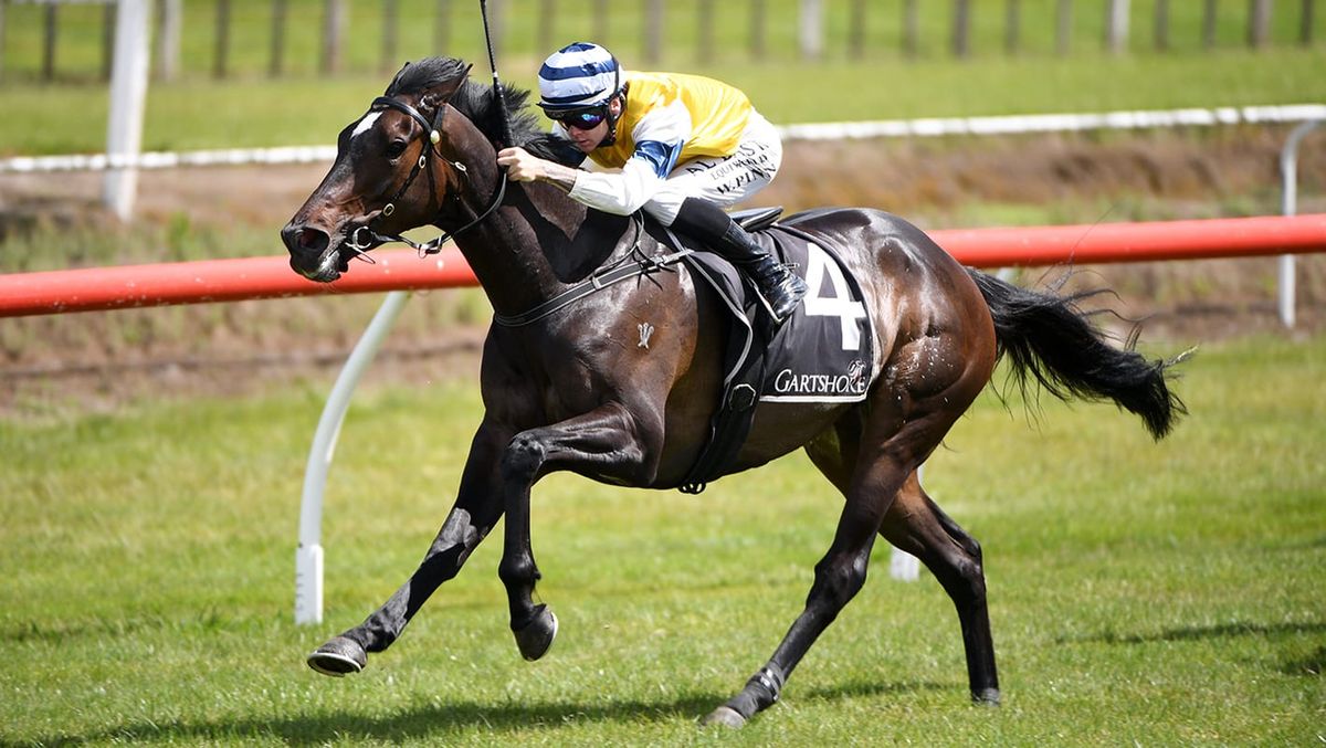 Mary Shan stuns El Vencedor in Challenge Stakes
