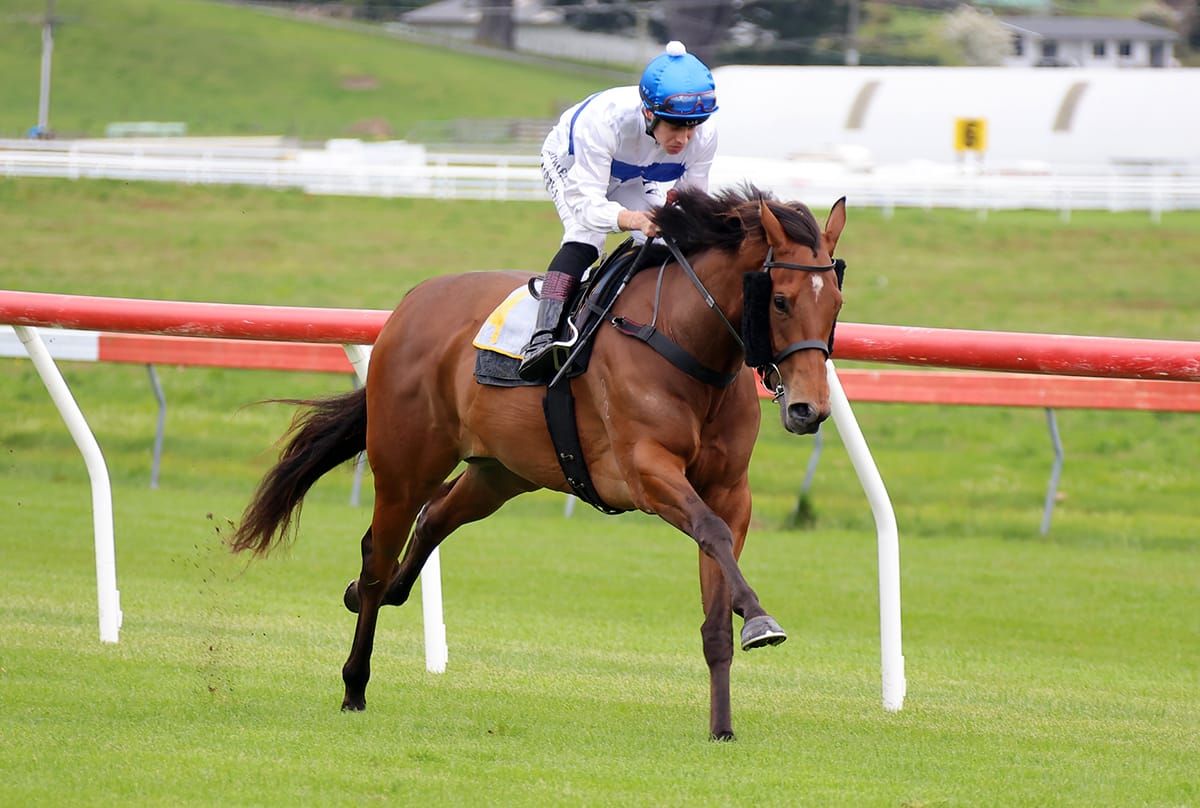 Tajana primed to take on the boys at Riccarton