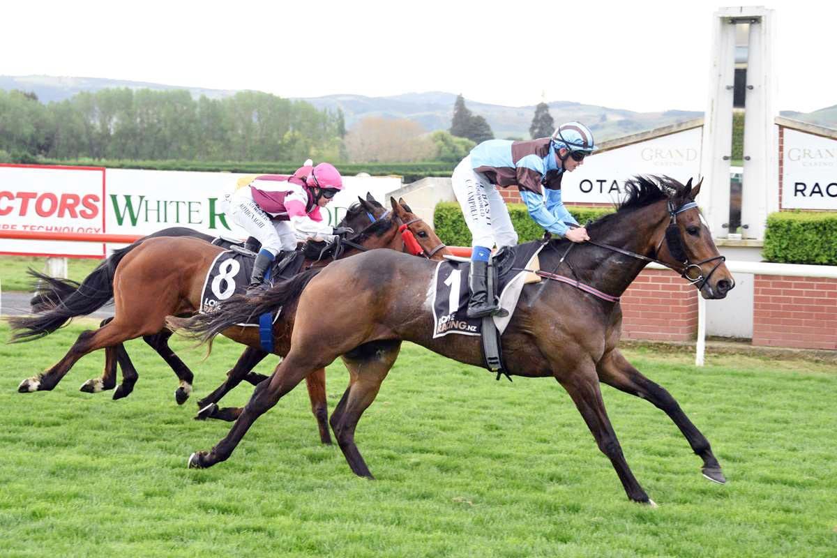 Dalton eyeing further success at Wingatui