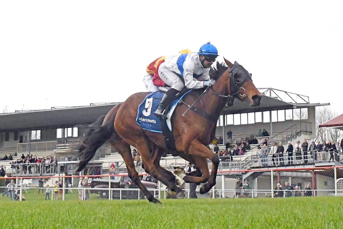 Kiwis seeking to recapture Jericho Cup