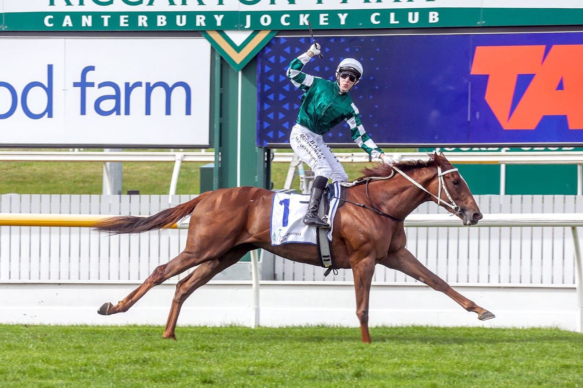 Well Written stuns in 1000 Guineas runaway