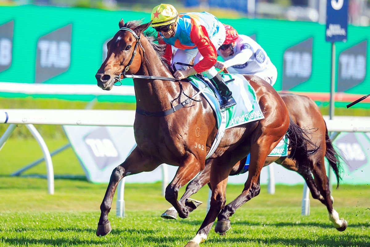 Hayes upbeat over Ka Ying Rising ahead of Bank of China (Hong Kong) Race Day