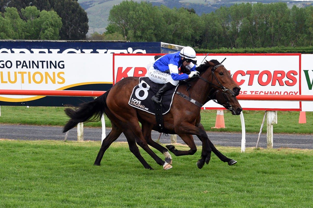Bobby Mcgee on song at Wingatui