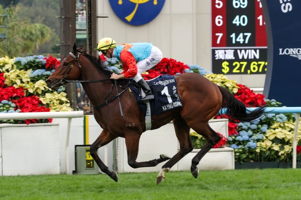 Purton rates Ka Ying Rising in a league of his own