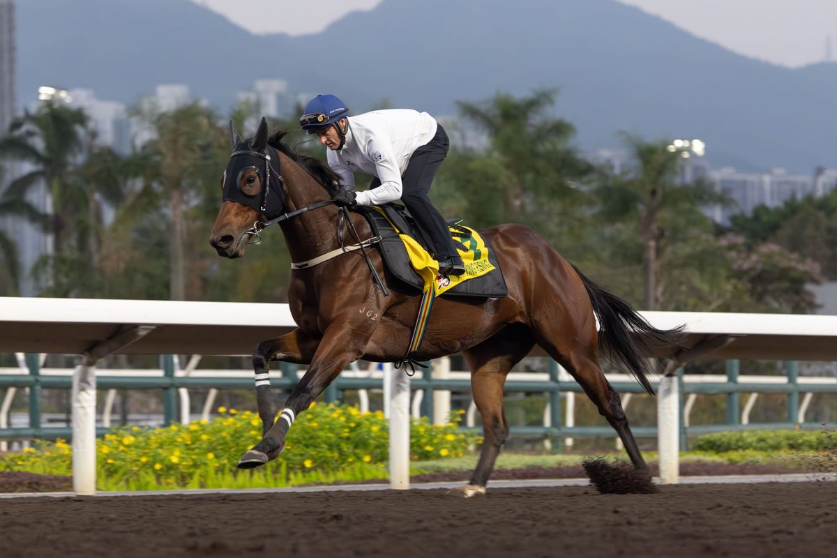 Ka Ying Rising goes for 16 straight in Gr.1 Hong Kong Sprint