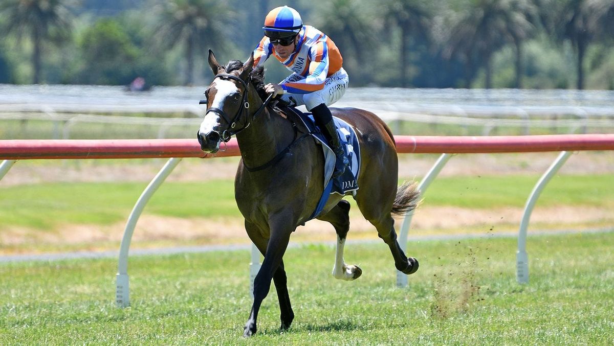 Wakefield enters calculations for dominant debut winner