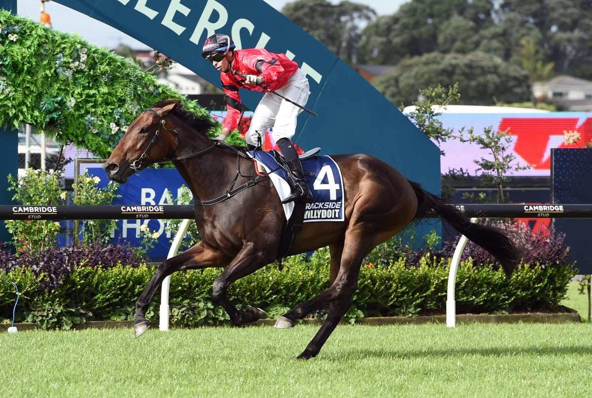 Derby winner Dee Ellerslie-bound again