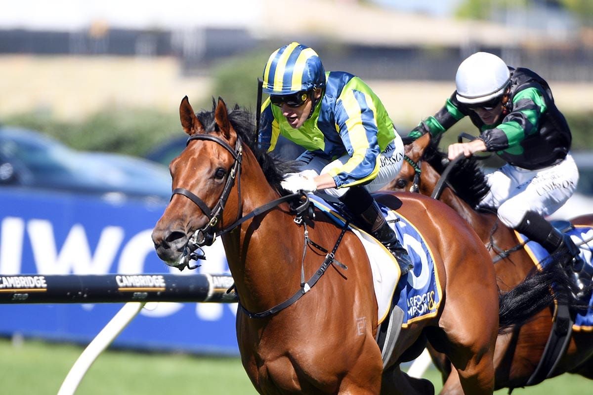 Bright future tipped for well-bred three-year-old