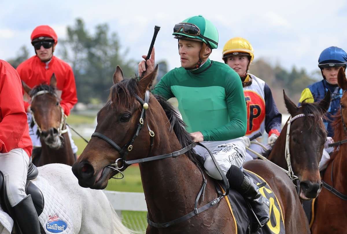 Further stakes targets await promising filly