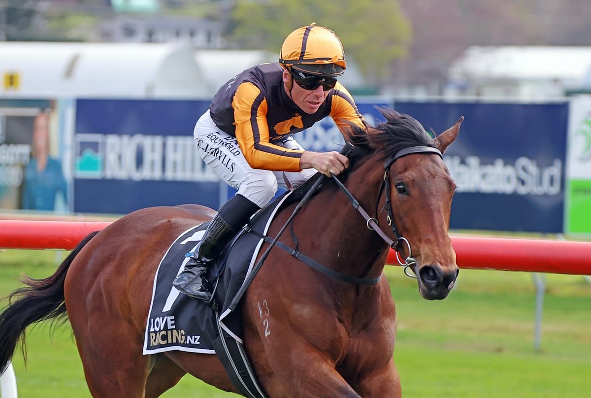 Promising filly primed for Te Rapa test