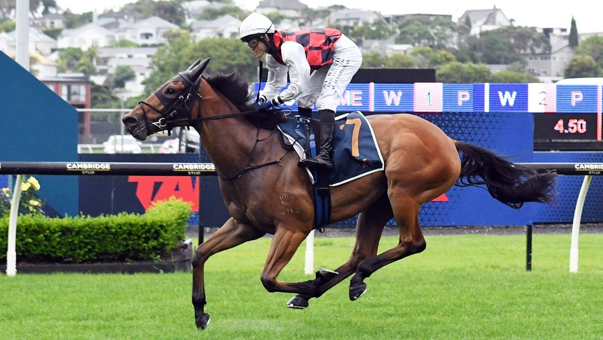 Rise Companions dominates Stella Artois Final